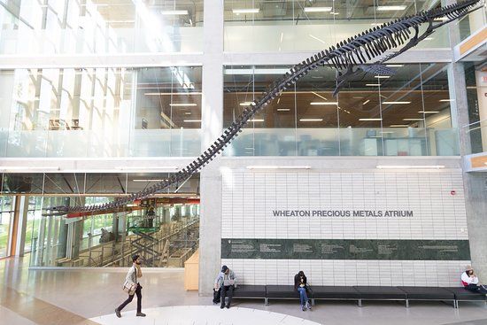 Musée Pacific Museum of Earth